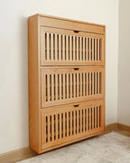 Elance Secret Shoe Storage